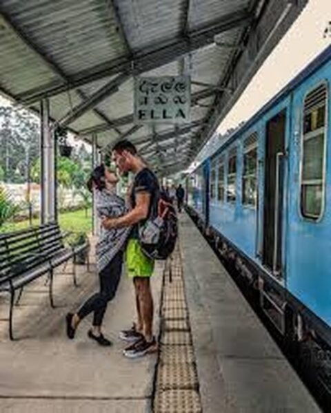 Ella Railway Station to Ella Hotel Private TukTuk Transfer - Local Tips