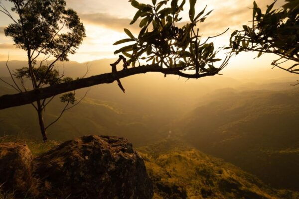 Ella Rock Hiking Tours - Free Time to Explore