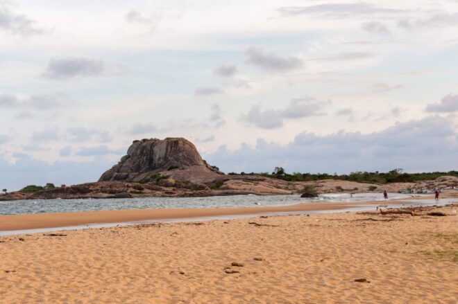 Ella: Safari Day Trip to Yala & Udawalawe W/ Picnic Lunch - Additional Information & Tour Guide Availability