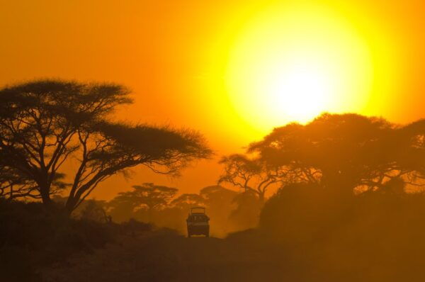 Ella: Safari Day Trip to Yala & Udawalawe W/ Picnic Lunch - Common Questions