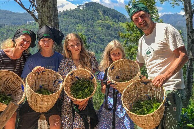 Ella Safari Jeep Tour Nine Arches Peaks and Waterfalls - Good To Know