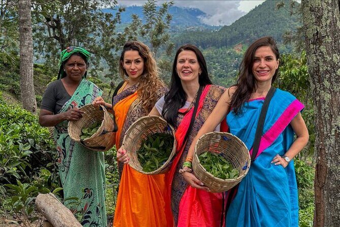 Ella Safari Jeep Tour Nine Arches Peaks and Waterfalls - Practical Details and What It Means for You