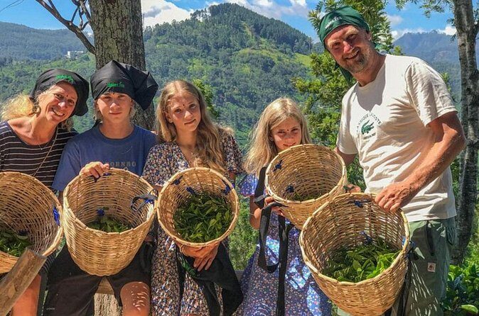 Ella Safari Jeep Tour Nine Arches Peaks and Waterfalls - Who Is This Tour Best For?