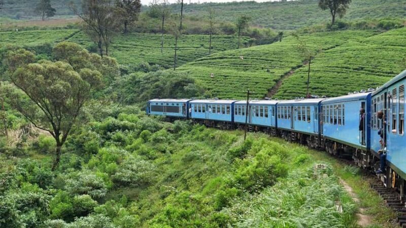 Ella Scenic Train Journey: Reserved E Tickets from Ambewela - Good To Know