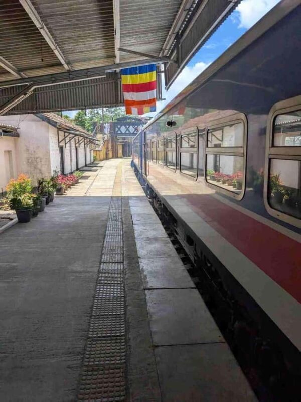 Ella Scenic Train Journey: Reserved E Tickets from Ambewela - Practical Details and Tips