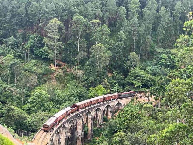 Ella Scenic Train Journey: Reserved E Tickets from Ambewela - Is This Experience Suitable for Everyone?