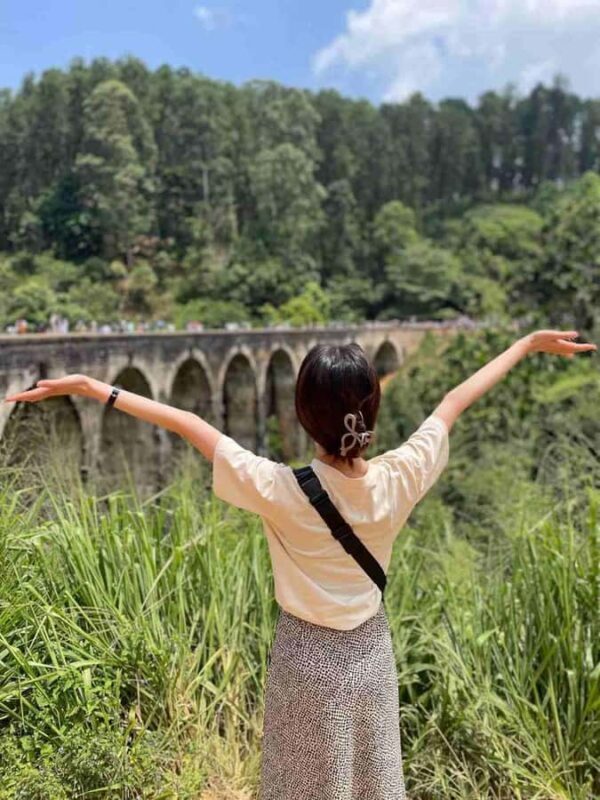 Ella Scenic Train Journey: Reserved E Tickets from Ambewela - Who Will Love This Journey?