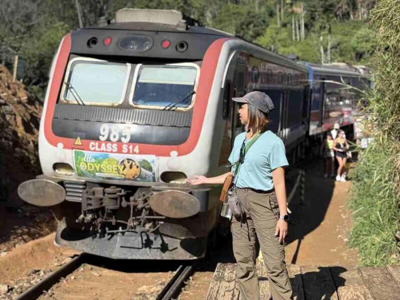 Ella Scenic Train Journey: Reserved E Tickets from Ambewela - The Sum Up