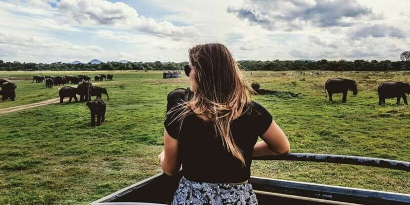 Ella: Shuttle to Tangalle/Mirissa/Galle & Udawalawa Safari - The Value of This Experience