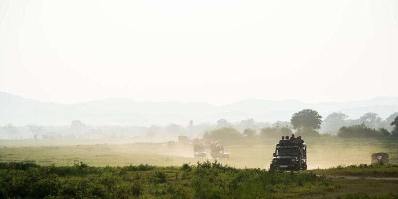 Ella: Shuttle to Tangalle/Mirissa/Galle & Udawalawa Safari - What Travelers Say: Authentic Insights