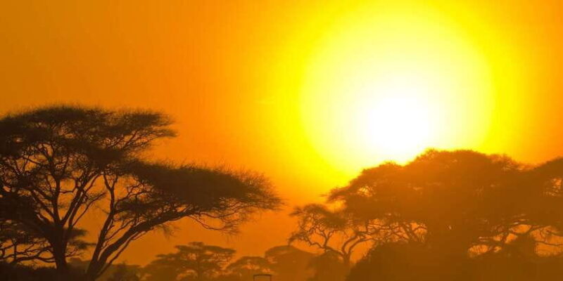 Ella: Shuttle to Tangalle/Mirissa/Galle w Udawalawe Safari - The Perfect Blend of Comfort and Adventure