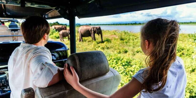 Ella: Shuttle to Tangalle/Mirissa/Galle w Udawalawe Safari - Who Will Love This Tour?