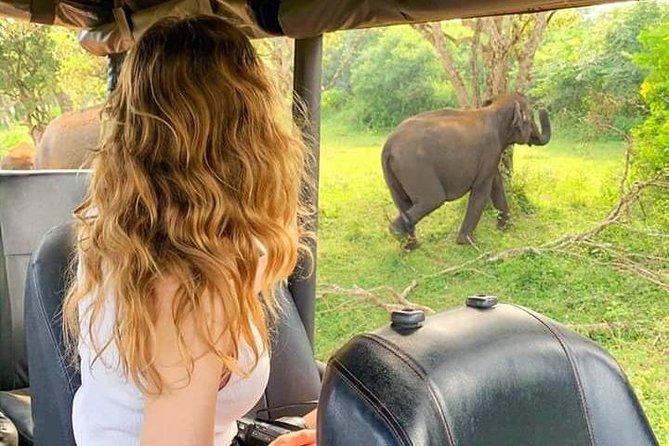 Ella Sight Seeing & Sri Lanka Tours - Tips for a Memorable Sri Lanka Tour