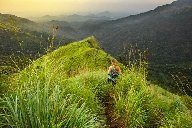 Ella Sri Lanka Sightseeing Tour by Tuk Tuk Or Mini Van - Booking Information