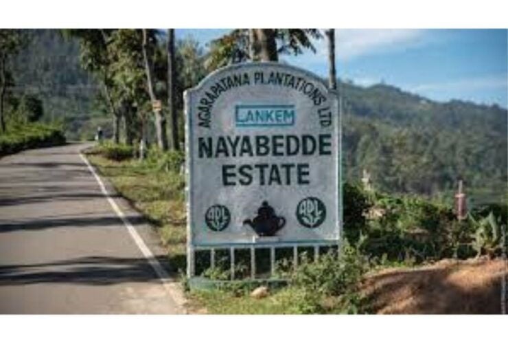 Ella: St. Catherine Seat to Makulella, Pekoe Trail- Stage 14 - Trail Overview