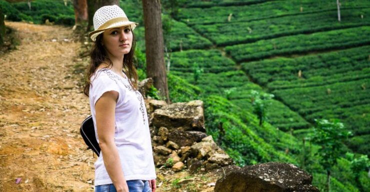 Ella: Tea Factory, Train, and Nine Arch Day Tour With Pickup - Pickup Locations and Tour Provider Information