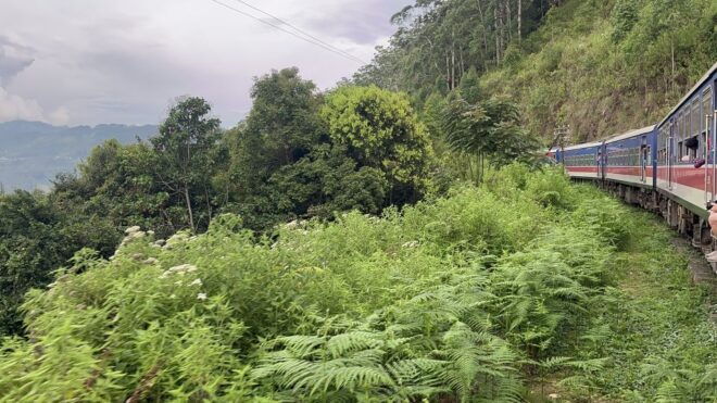 Ella: Tea Factory, Train, and Nine Arch Day Tour With Pickup - Train Journey and Relaxation at Ravana Pool Club