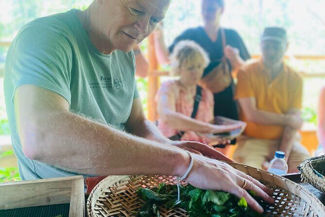 Ella Tea Making Experience Tour With Tasting & Snacks - Ella Tea Making Experience Tour With Tasting & Snacks: A Genuine Dive into Sri Lanka’s Tea Culture