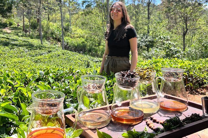 Ella Tea Making Experience Tour With Tasting & Snacks - Practical Tips for Participants
