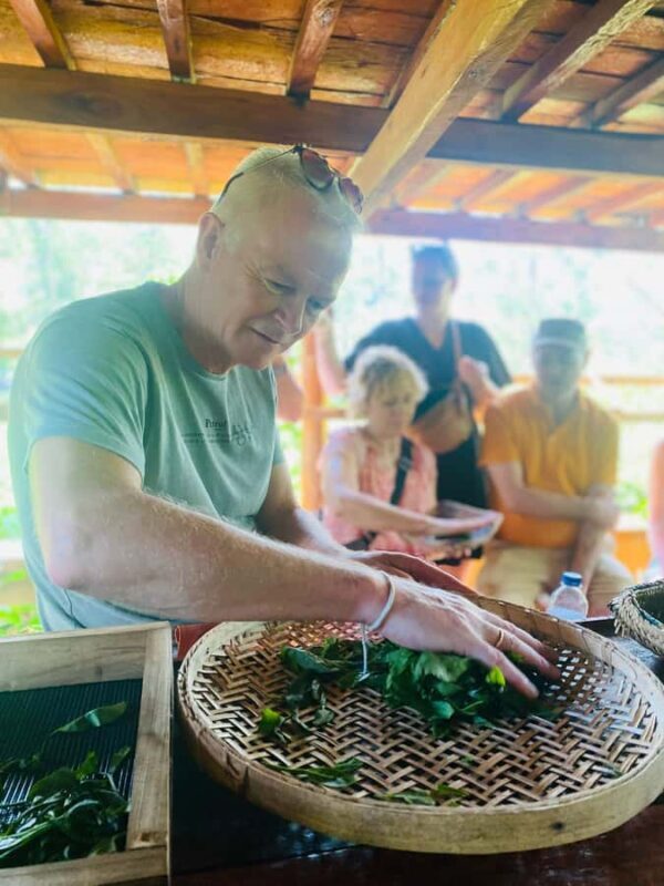 Ella: Tea-Making Experience Tour with Tasting & Snacks - Practical Details & Tips