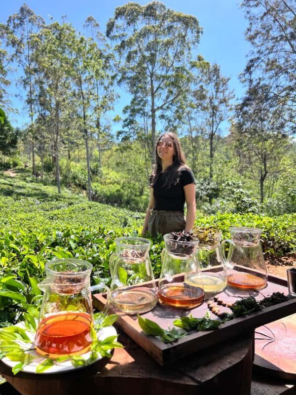 Ella: Tea-Making Experience Tour with Tasting & Snacks - Authentic, Educational, and Delicious