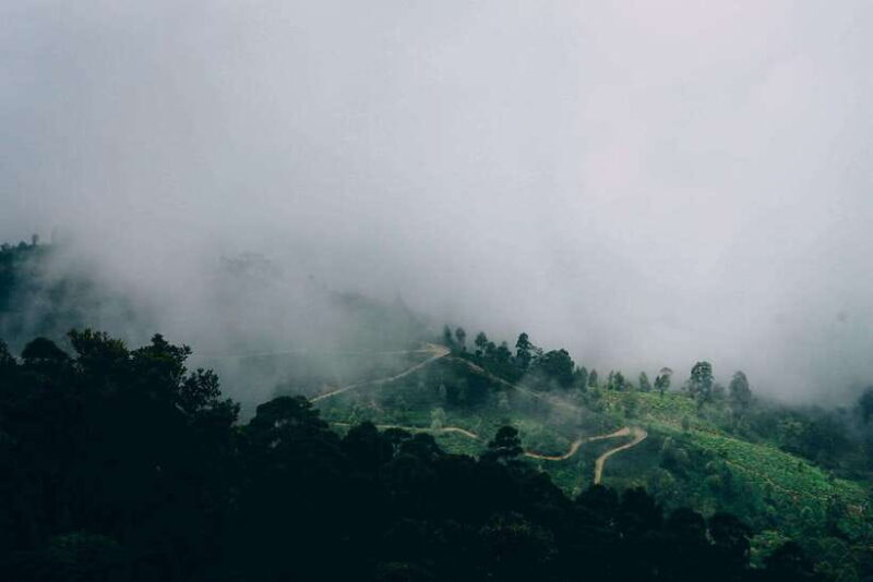 Ella: The Pekoe Trail Stage 16 - Ella to Demodara - An Overview of the Pekoe Trail Stage 16: Ella to Demodara