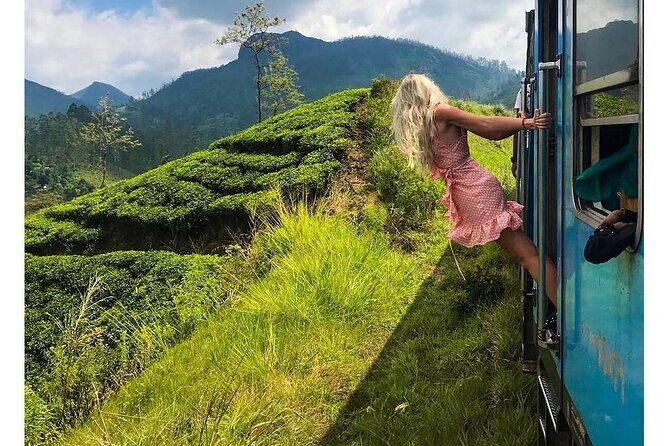 Ella to Ambewela Scenic Train Journey with Reserved Seats Ticket - Good To Know