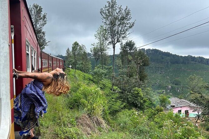 Ella to Ambewela Scenic Train Journey with Reserved Seats Ticket - The Sum Up
