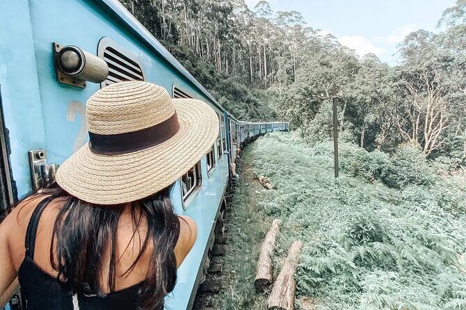 Ella to Ambewela Scenic Train Journey with Reserved Seats Ticket - Who Is This Tour Best For?
