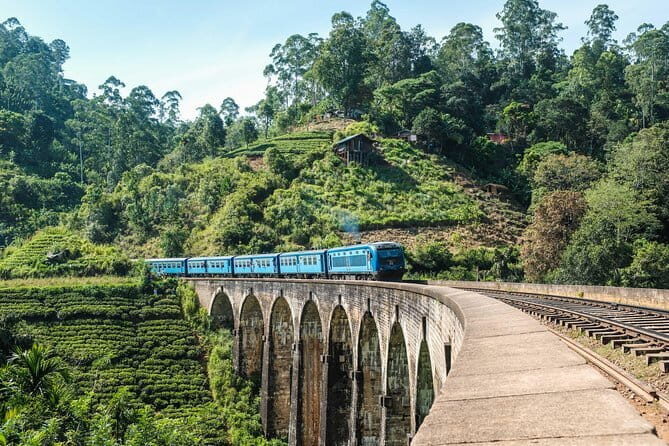Ella to Colombo Train Tickets (Reserved Seats) - Introduction: A Scenic Ride You Won’t Forget