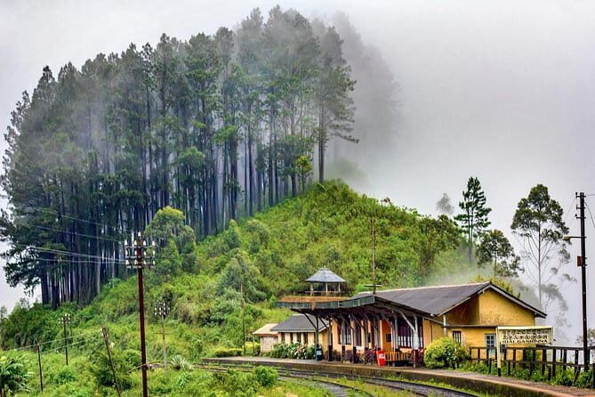 Ella to Colombo Train Tickets (Reserved Seats) - The Sum Up: Who Will Love This Experience?