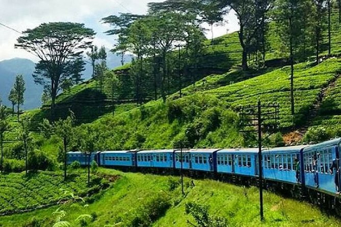 Ella to Kandy Train Ride on (Train No: 1006 Podi Menike) - Inclusions and Exclusions