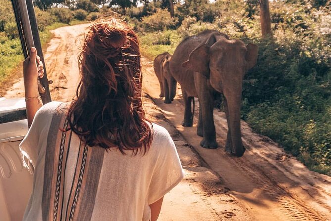 Ella to Mirissa Shuttle & Safari Drive - Non-Refundable and Non-Changeable Experience