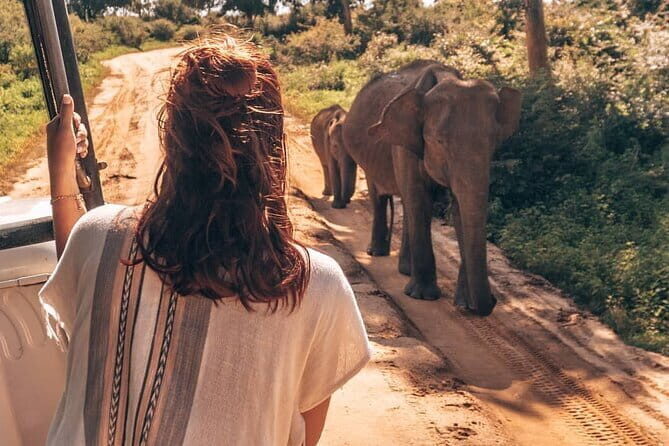 Ella to Mirissa Shuttle & Udawalawe Safari Drive with Breakfast - The Journey from Ella to Mirissa: What to Expect