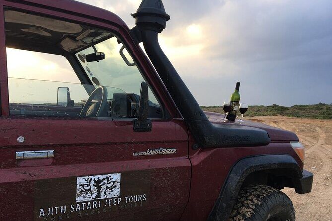 Ella to Tangalle/Hiriketiya/Mirissa/Galle Shuttle & Yala Safari - An In-Depth Look at the Experience