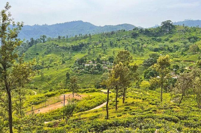 Ella to Udawalawa Wildlife Safari and Drop Down South - The Sum Up