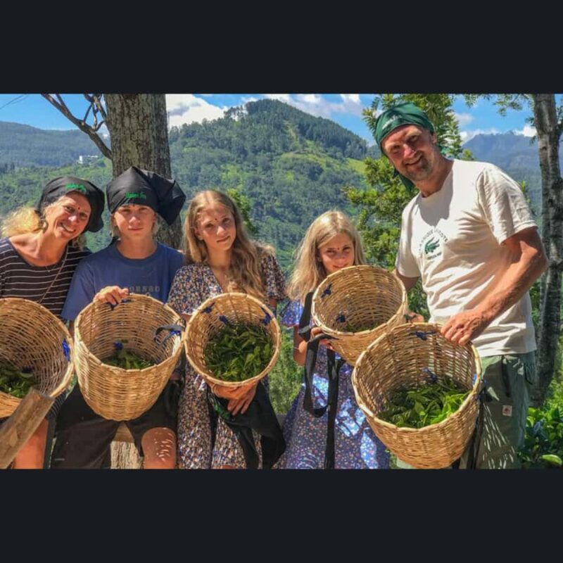 Ella Tour in a Safari Jeep: Nine Arches, Peaks & Waterfalls - Transportation & Practicalities