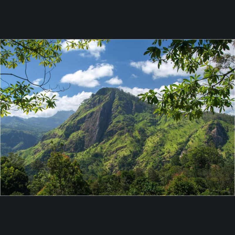 Ella Tour in a Safari Jeep: Nine Arches, Peaks & Waterfalls - Authentic Experiences and Guide Insights