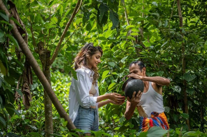 Ella: Traditional Village Life by Jeep with Cooking Class - An In-Depth Look at the Tour Experience