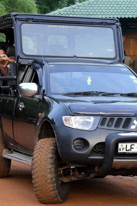 Ella: Transfer to Mirissa/Galle/Hikkaduwa & Yala Safari Tour - Inclusions