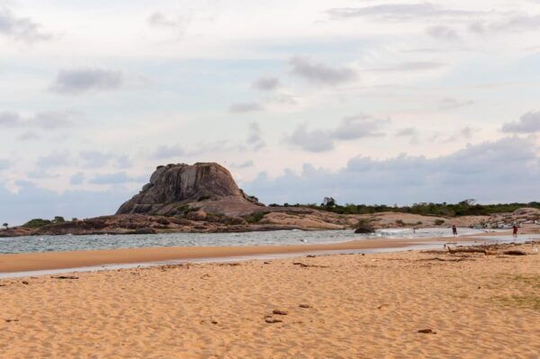 Ella: Transfer to Mirissa/Galle/Hikkaduwa & Yala Safari Tour - Frequently Asked Questions