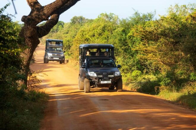Ella: Transfer to Mirissa/Galle W YALA & UDAWALAWA Safaris - Yala National Park Insights