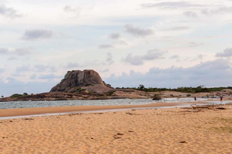 Ella: Transfer to Tangalle/Mirissa/Galle & Yala Safari Tour - The Sum Up