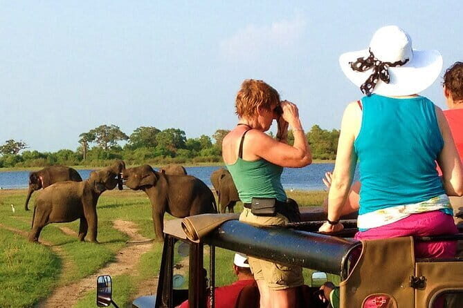 Ella: Transfer to Tangalle/Mirissa/Galle & Yala/Udawalawe Safari - FAQs