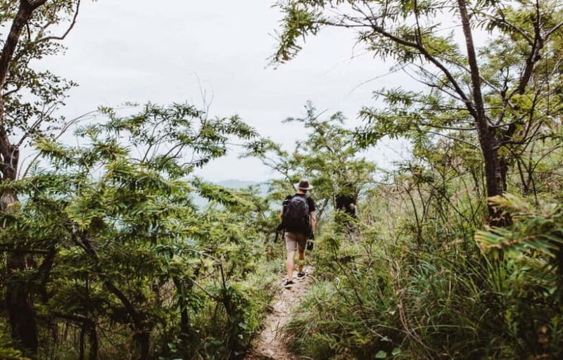 Ella: Tuk Tuk Tour to Diyaluma and Secret Waterfalls - An Authentic Ride Through Sri Lanka’s Green Heart