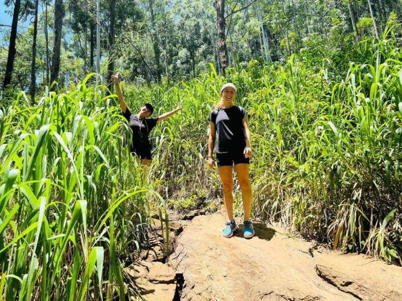 Ella: Tuk-Tuk Tour with Little Adam's Peak and Waterfalls - Final Thoughts: Is This Tour for You?