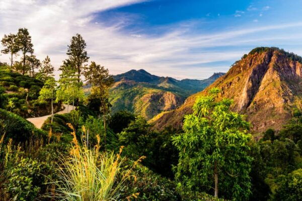 Ella: Tuk Tuk Transfer to Little Adams Peak & Mega Zip Line - Booking and Cancellation Policy