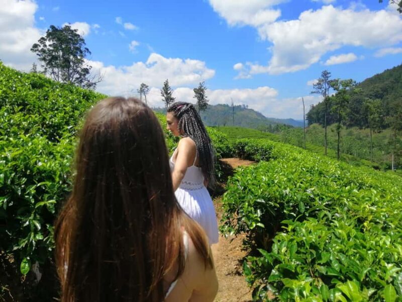 Ella: Ultimate Experience with Cooking Class & Hike - Considerations and Limitations