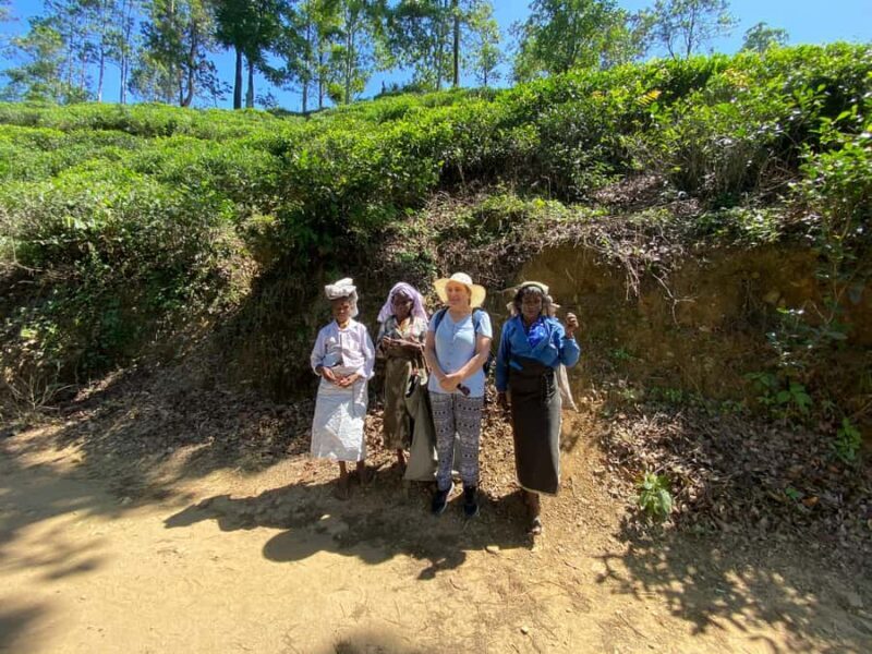 Ella: Ultimate Experience with Cooking Class & Hike - FAQ  