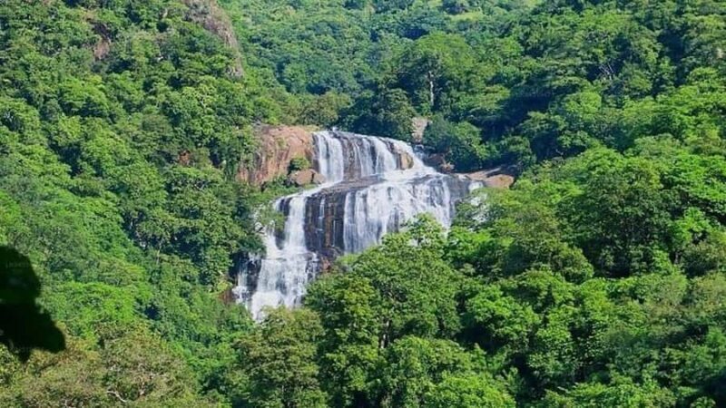 Ella: Vedda Village, Waterfalls, Village Lunch & Kandy Drop - Good To Know